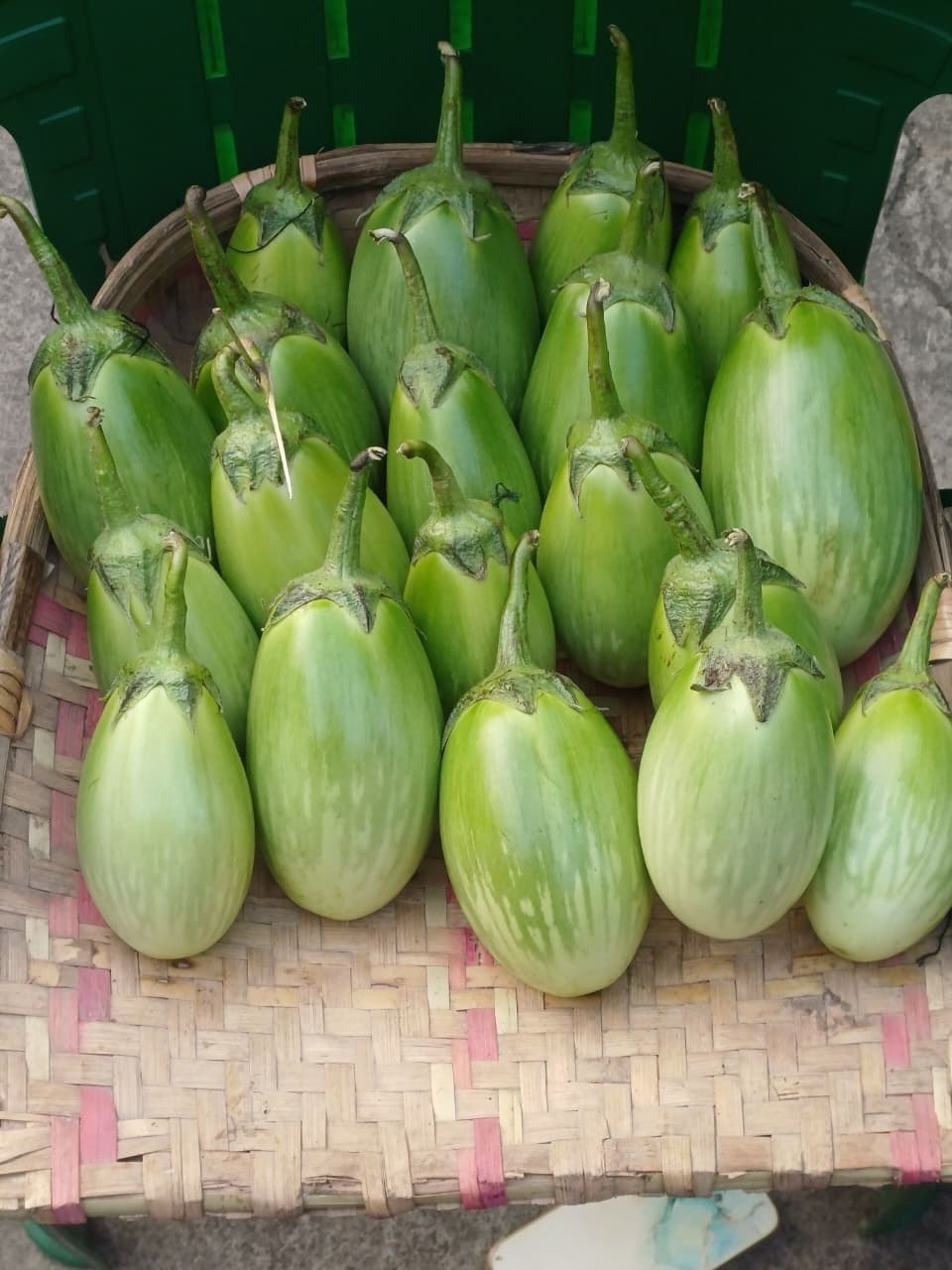 Freshly harvested brinjal ready for market