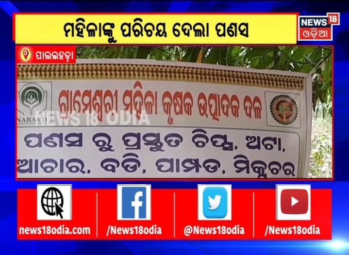 Angul — jackfruit gives the Paudi Bhuyan community's women a new identity