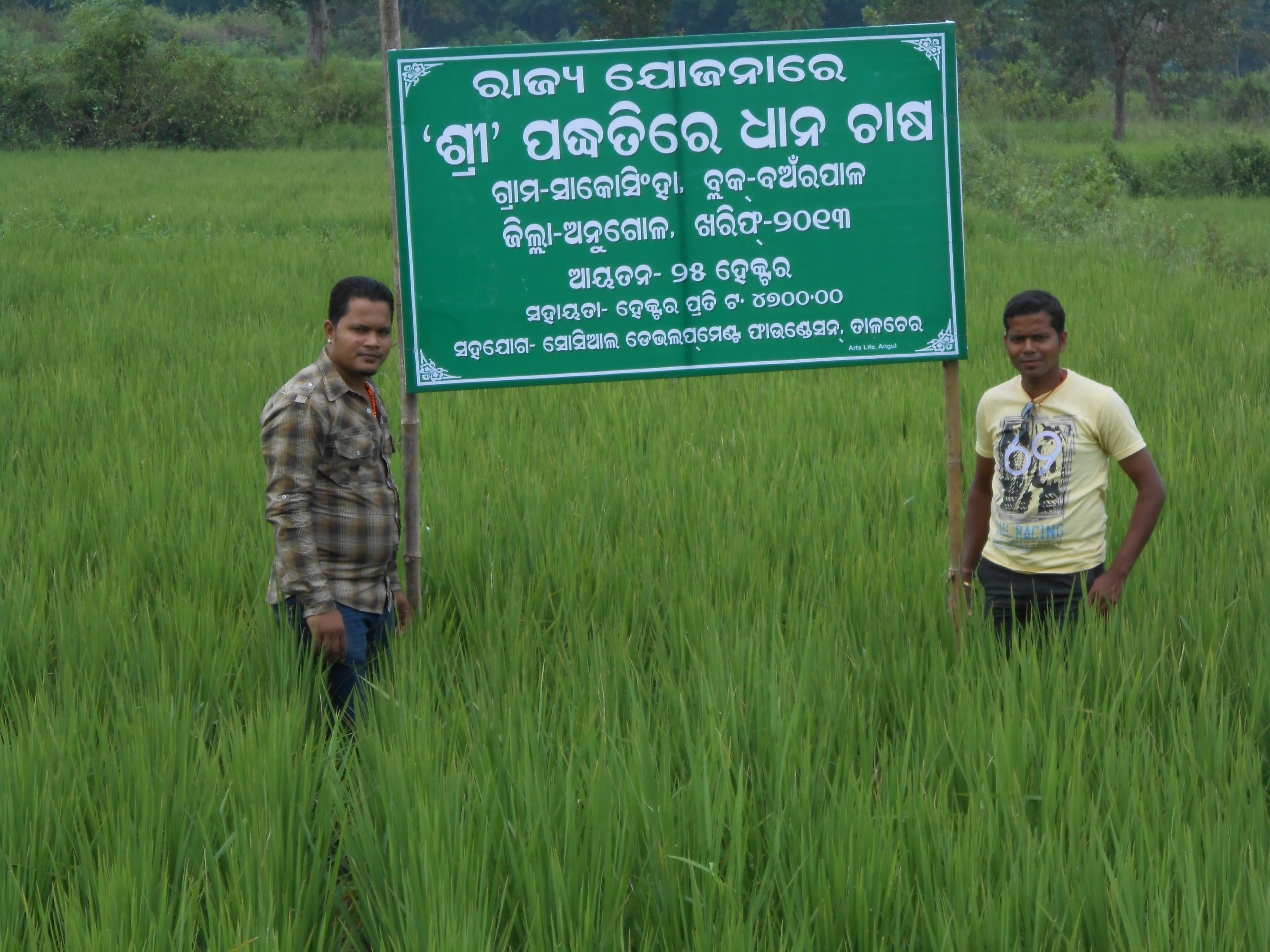 SRI paddy cultivation project signboard, Sakosingha village, Banarpal Block